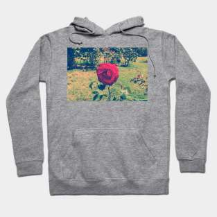 Vintage Rose Hoodie